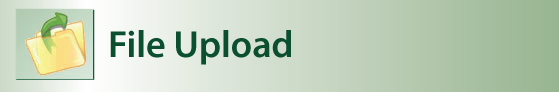 File Upload